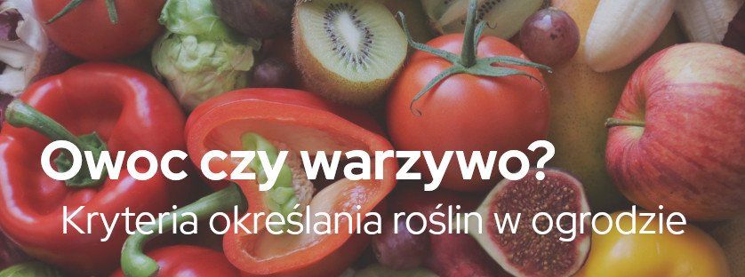 Owoc czy warzywo? Kryteria określania roślin w ogrodzie | Blog Sklepogrodniczy.pl 