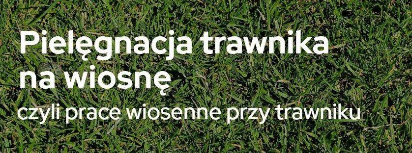 Pielęgnacja trawnika na wiosnę | Blog Sklepogrodniczy.pl