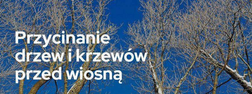 Przycinanie drzew i krzewów przed wiosną
