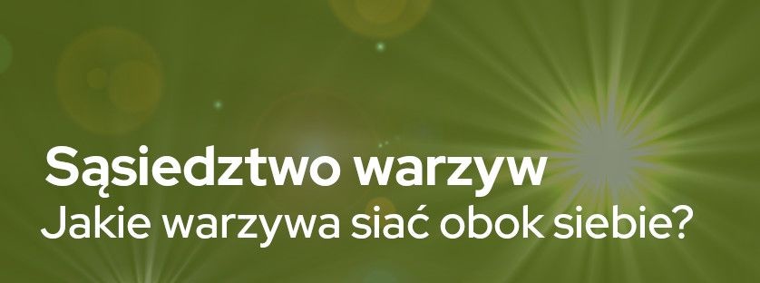 Sąsiedztwo warzyw – jakie warzywa siać obok siebie? | Blog Sklepogrodniczy.pl