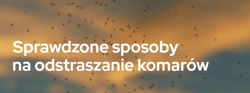 Sprawdzone sposoby na odstraszanie komarów | Blog Sklepogrodniczy.pl