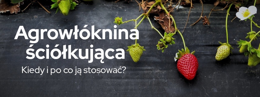Agrowłóknina ściółkująca – kiedy i po co ją stosować? | Blog Sklepogrodniczy.pl