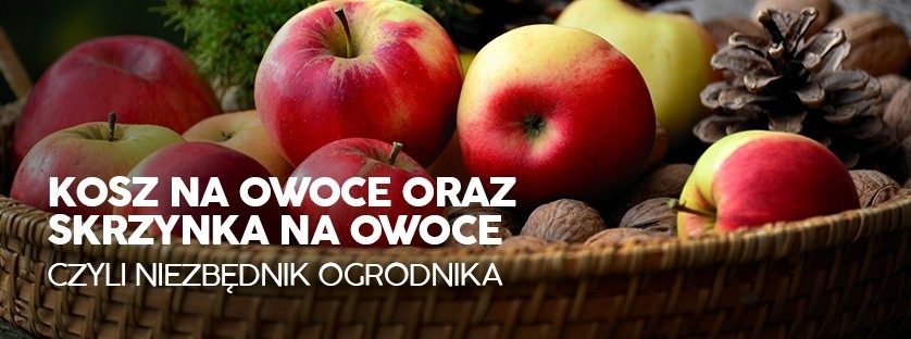 Kosz na owoce oraz skrzynka na owoce czyli niezbędnik ogrodnika | Blog Sklepogrodniczy.pl 