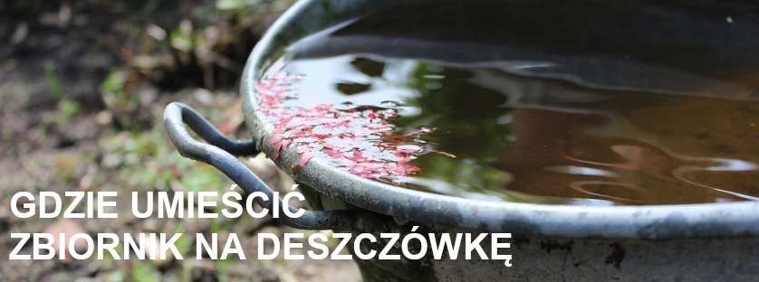 Gdzie umieścić zbiornik na deszczówkę? | Blog Sklepogrodniczy.pl