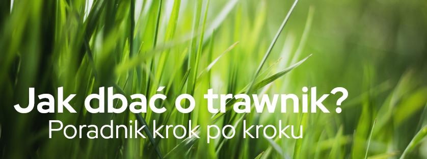 Jak dbać o trawnik? Poradnik krok po kroku | Blog Sklepogrodniczy.pl