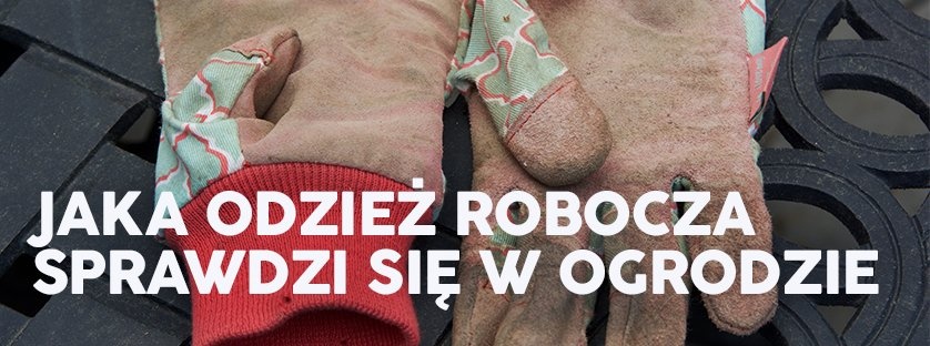 Jaka odzież robocza sprawdzi się w ogrodzie? | Blog Sklepogrodniczy.pl