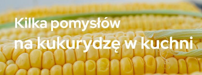 Kilka pomysłów na kukurydzę w kuchni  | Blog Sklepogrodniczy.pl