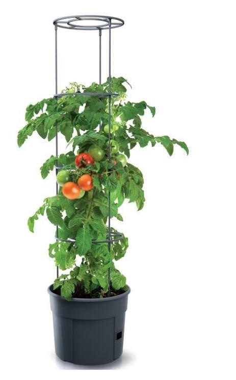 Tomato Grower - doniczka do uprawy pomidorów Prosperplast - grafika producenta