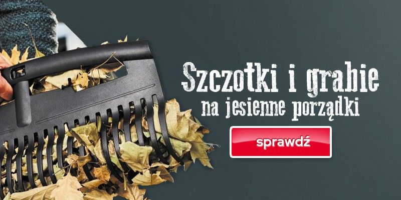 Szczotki i grabie na jesienne porządki