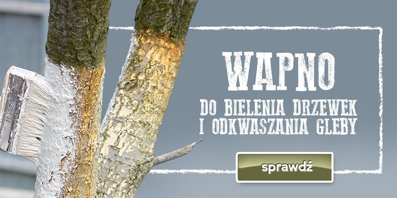 Wapno do bielenia drzewek i odkwaszania gleby