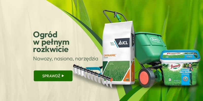 Ogród w pełnym rozkwicie