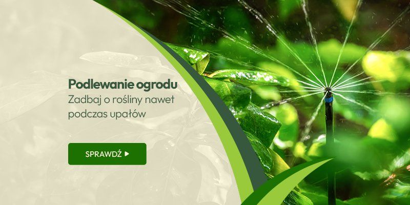 Podlewanie ogrodu - zadbaj o rośliny nawet podczas upałów.