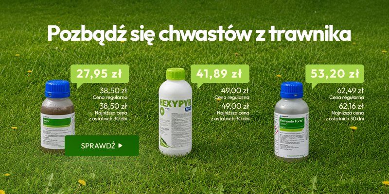Pozbądź się chwastów z trawnika
