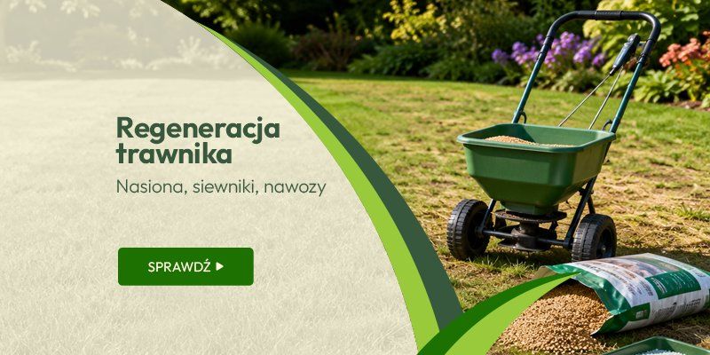 Regeneracja trawnika. Nasiona, siewniki, nawozy Regeneracja trawnika. Nasiona, siewniki, nawozy