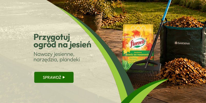 Przygotuj ogród na jesień - nawozy jesienne, narzędzia, plandeki Przygotuj ogród na jesień - nawozy jesienne, narzędzia, plandeki