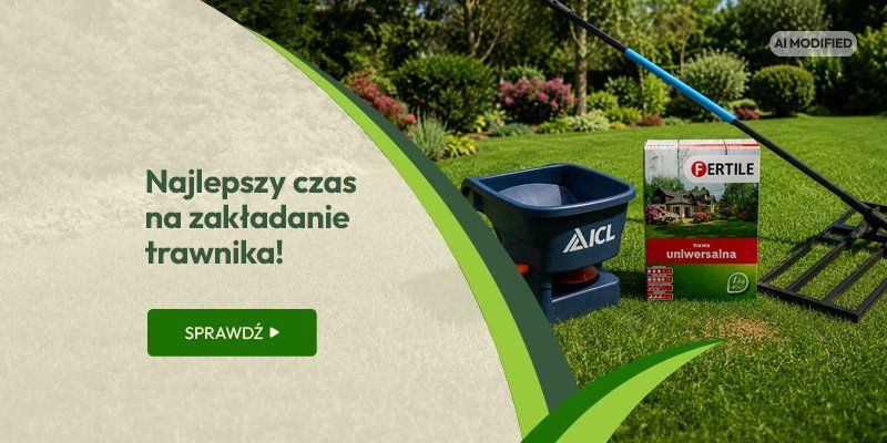 Najlepszy czas na zakładanie trawnika! Najlepszy czas na zakładanie trawnika!