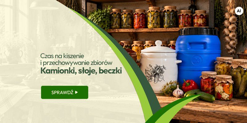 Czas na kiszenie i przechowywanie zbiorów. Kamionki, słoje, beczki Czas na kiszenie i przechowywanie zbiorów. Kamionki, słoje, beczki