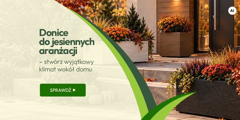 Donice do jesiennych aranżacji – stwórz wyjątkowy klimat wokół domu Donice do jesiennych aranżacji – stwórz wyjątkowy klimat wokół domu