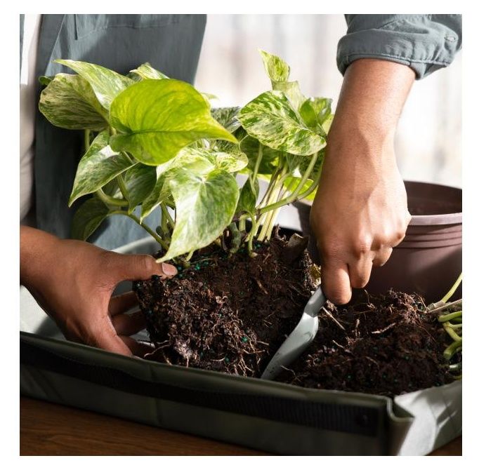 Mata zielona Plant Care 1080776 Fiskars111