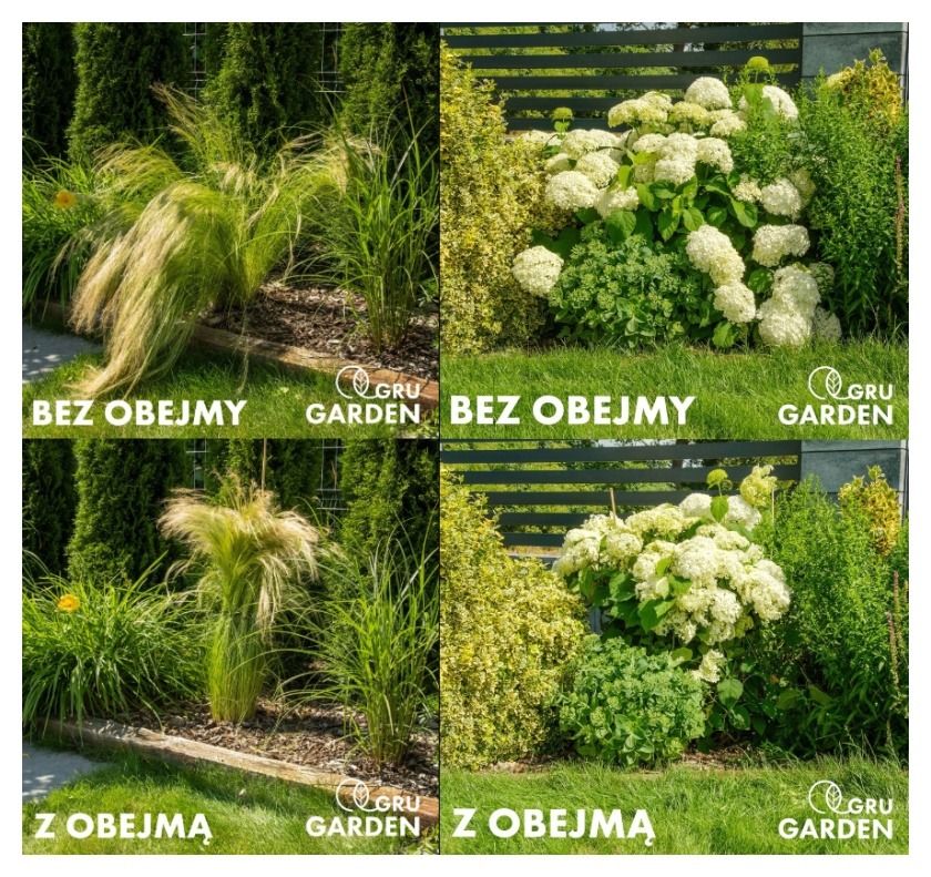 Obejma do roślin hortensji fi 6 mm 10 sztuk GruGarden3
