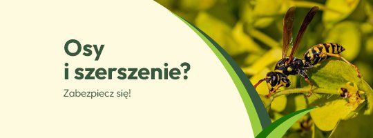 Osy i szerszenie? Zabezpiecz się! Osy i szerszenie? Zabezpiecz się!