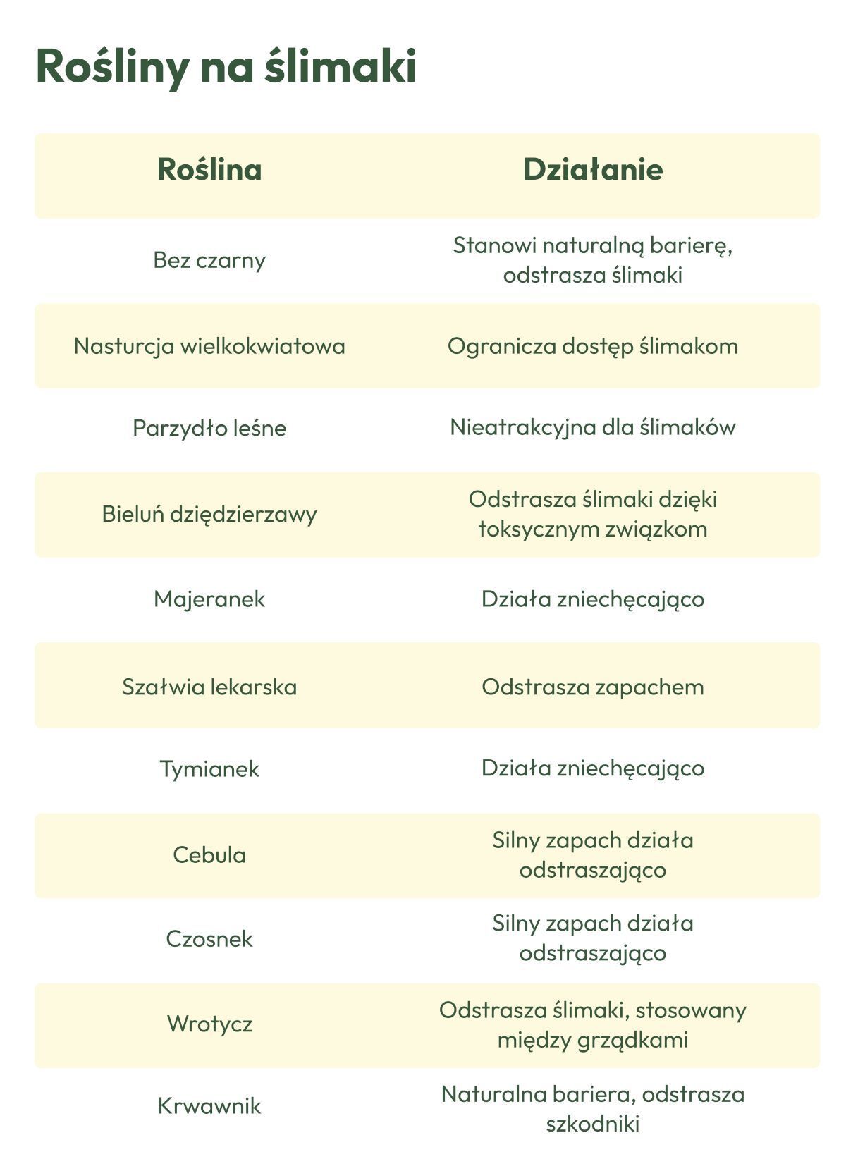 Rośliny na ślimaki Rośliny na ślimaki