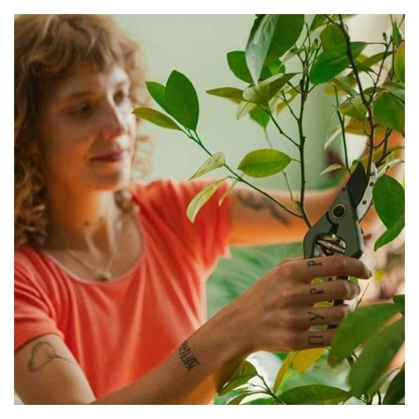 Sekator z pojemnikiem Plant Care 1075314 Fiskars5