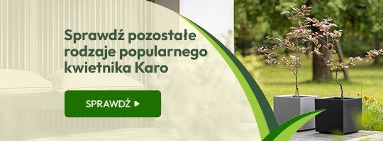 Kwietniki Karo - Grafika