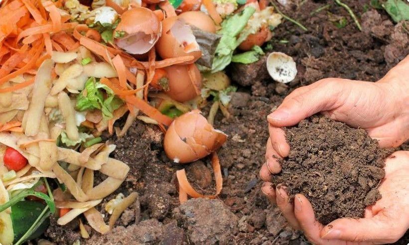 Kompostowanie resztek organicznych