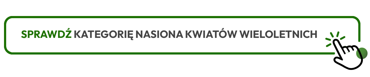 Sprawdź kategorię nasiona kwiat&oacute;w wieloletnich 