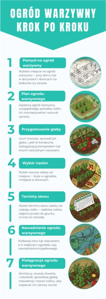 Ogr&oacute;d warzywny krok po kroku