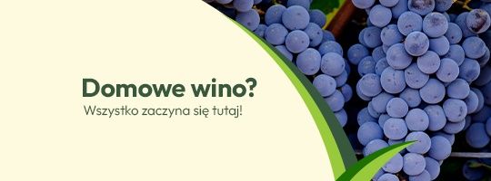 Domowe Wino? Wszystko zaczyna się tutaj!	