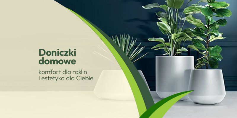 Doniczki domowe Doniczki domowe - Grafika