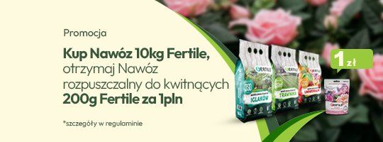 Fertile - Grafika