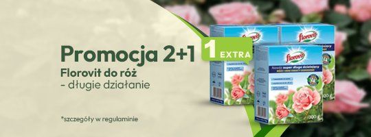 Florovit 2+1 Florovit 2+1 - Grafika
