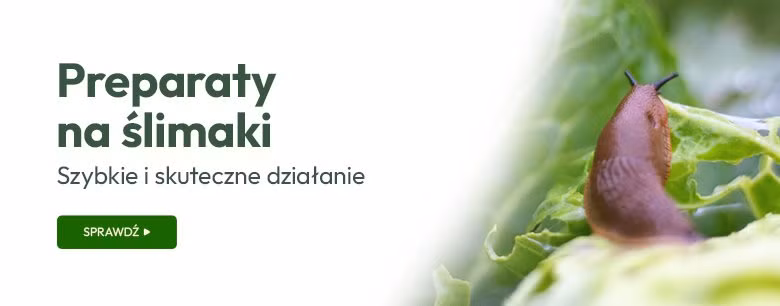 Preparaty na ślimaki. Szybkie i skuteczne działanie