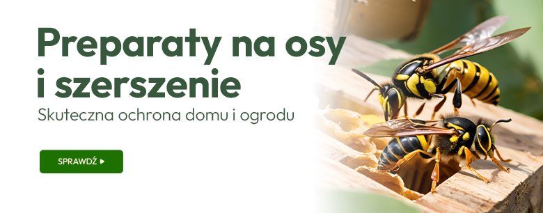 Preparaty na osy i szerszenie - skuteczna ochrona domu i ogrodu
