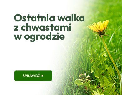 Ostatnia walka z chwastami w ogrodzie