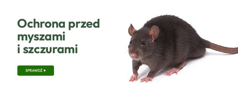 Ochrona przed myszami i szczurami.
