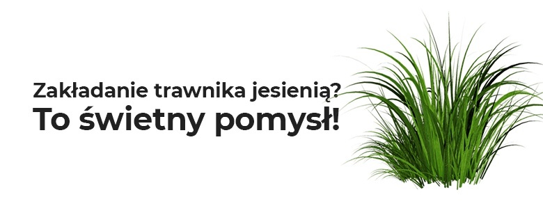 Zakładanie trawnika jesienią? To świetny pomysł! | Sklepogrodniczy.pl
