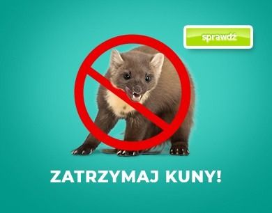 Zatrzymaj KUNY!