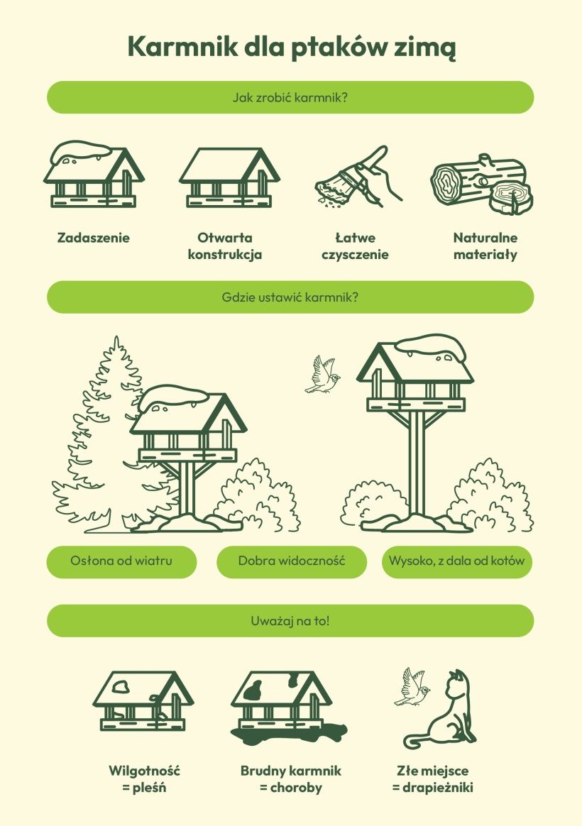 Infografika: jak zrobić i gdzie ustawić karmnik dla ptak&oacute;w zimą