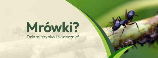 Mr&oacute;wki? Działaj skutecznie - Grafika