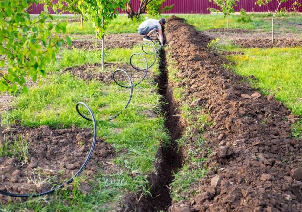 Montaż systemu nawadniania kropelkowego – efektywne rozwiązanie dla ogrodów i sadów. Mężczyzna montuje system nawadniania kropelkowego w ogrodzie, układając przewód w wykopanym rowie w pobliżu drzewek owocowych.