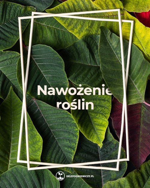 Wiosenne nawożenie roślin | Blog Sklepogrodniczy.pl