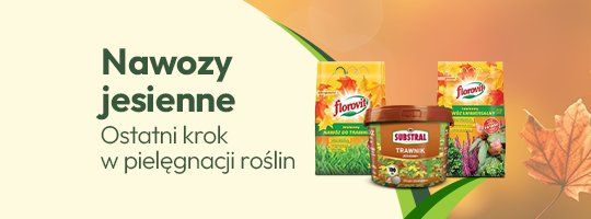 Nawozy jesienne - ostatni ktok w pielęgnacji roślin