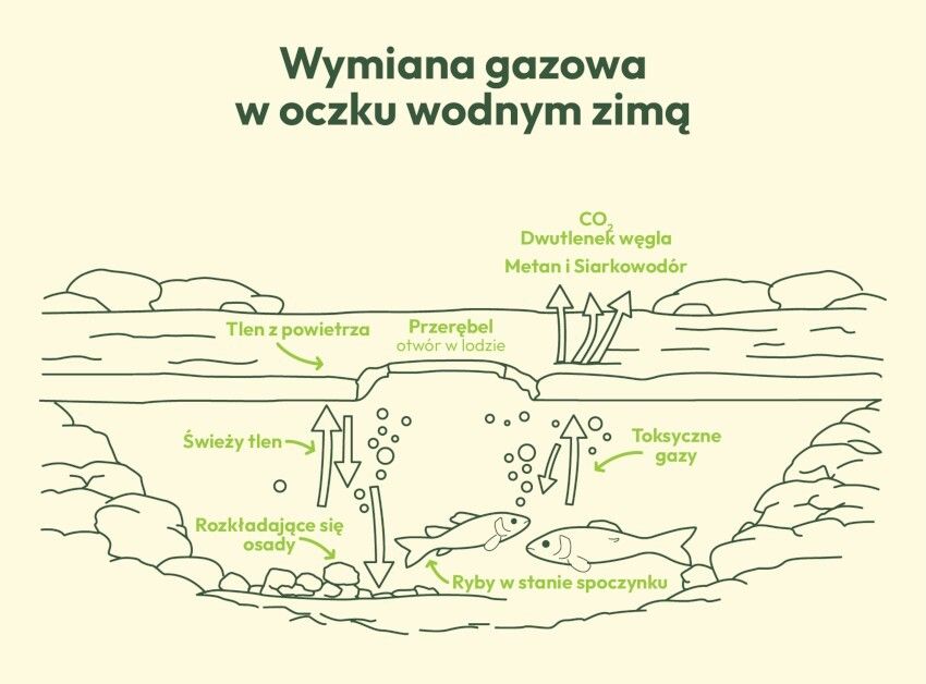 Wymiana gazowa w oczku wodnym zimą Wymiana gazowa w oczku wodnym zimą