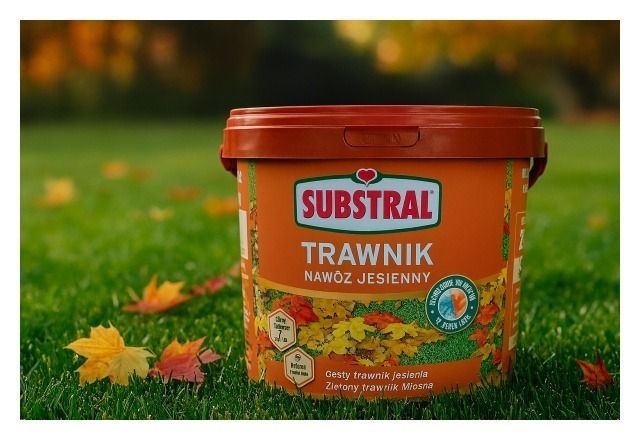 Trawnik nawóz jesienny Substral