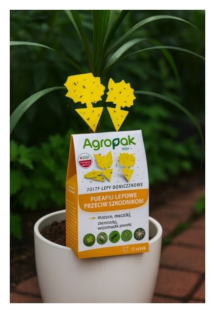 Żółte lepy doniczkowe 12szt Agropak