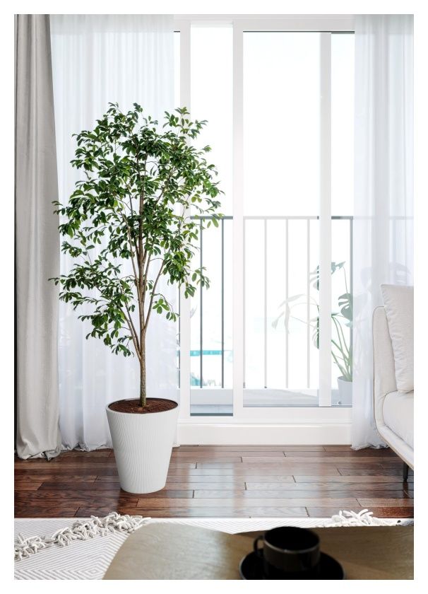 Doniczka Linea FormPlastic